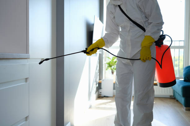 Trusted Jacksonville, TX Pest Control Experts